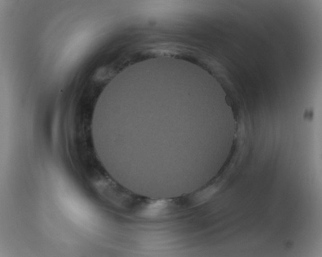 X0000112820382200909181631