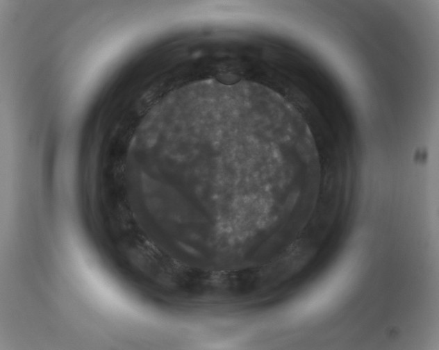 X0000112820383200909181631