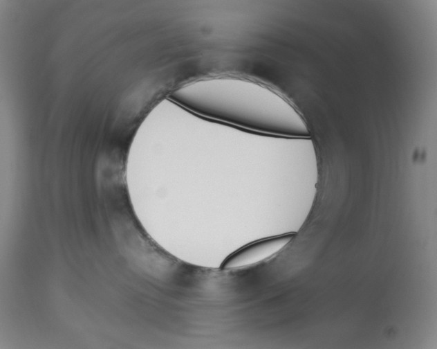 X0000112820384200909181631