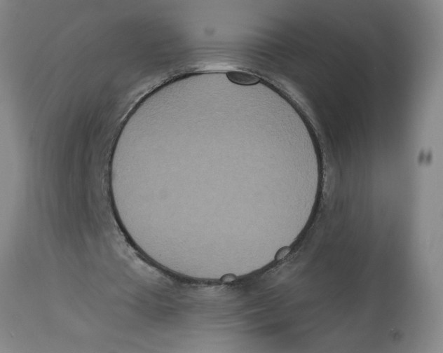 X0000112820385200909181630