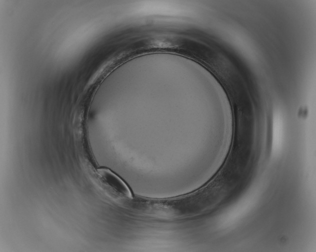 X0000112820387200909181630