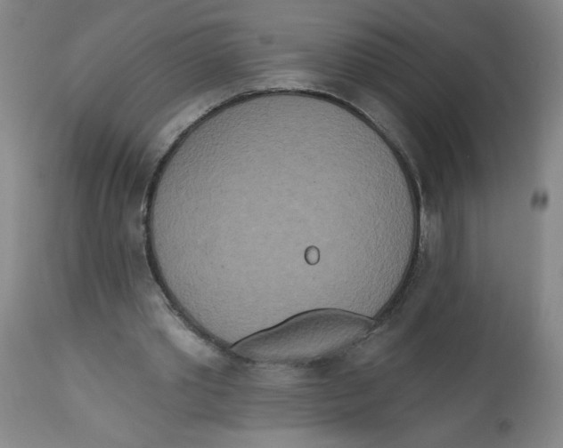 X0000112820389200909181630