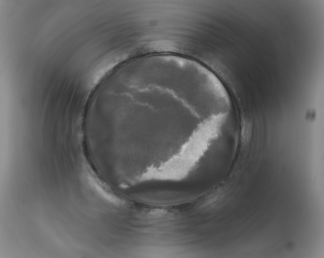 X0000112820390200909181630