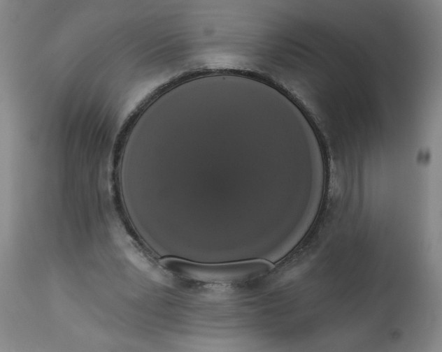 X0000112820391200909181630