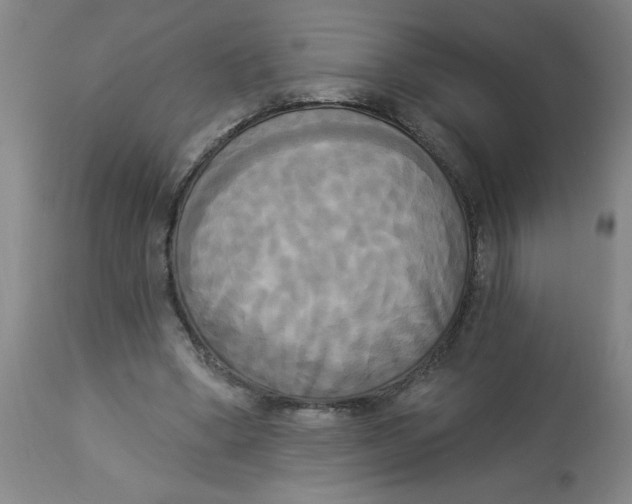 X0000112820394200909181630