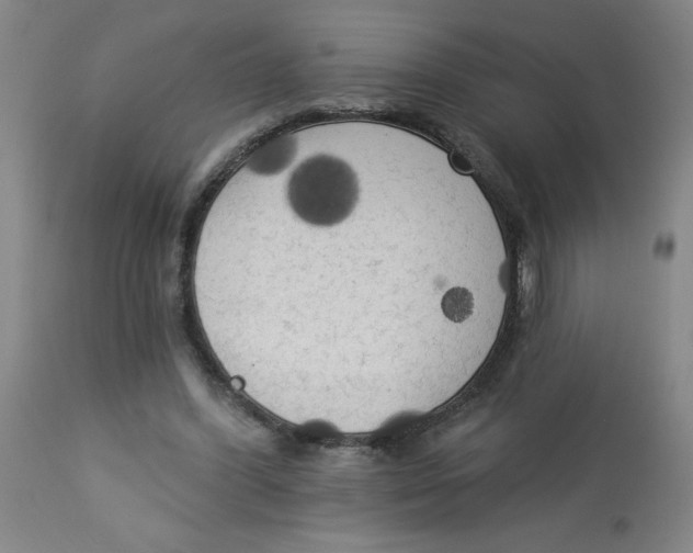 X0000112820396200909181630