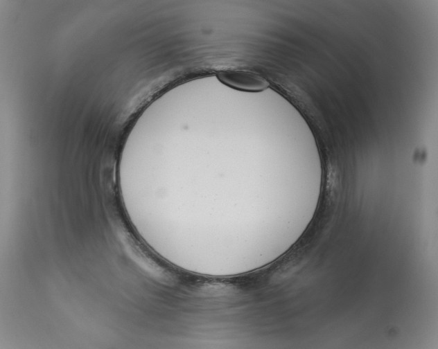 X0000112820397200909181630