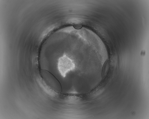 X0000112820399200909181630