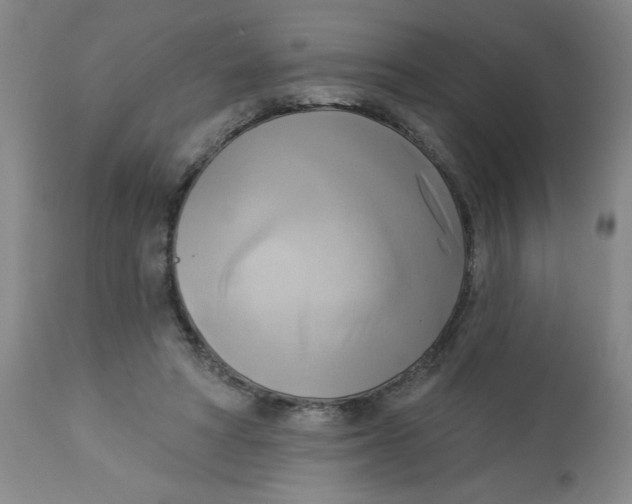 X0000112820402200909181630