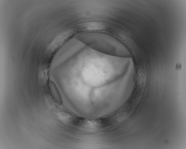 X0000112820405200909181630