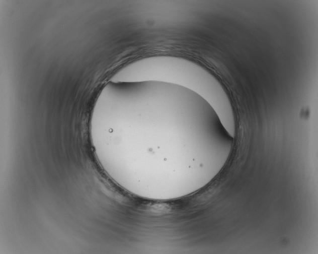 X0000112820409200909181630