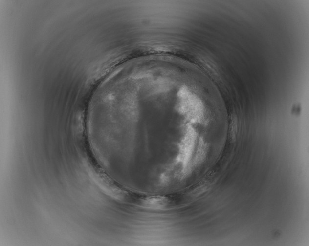 X0000112820410200909181630