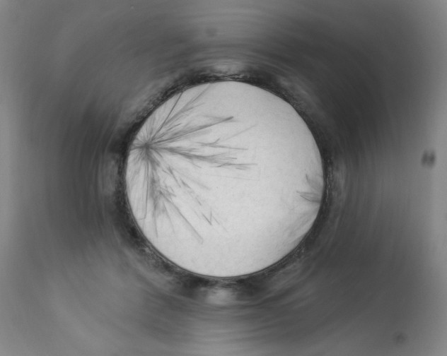 X0000112820412200909181630