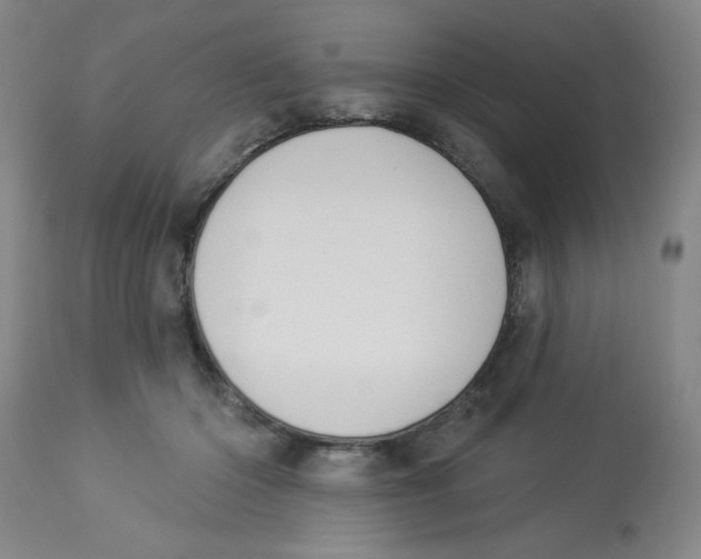 X0000112820414200909181630