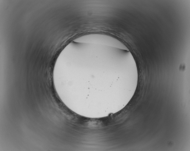 X0000112820415200909181630