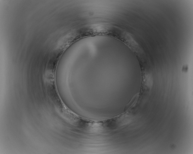 X0000112820419200909181630