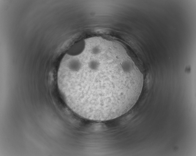 X0000112820424200909181630