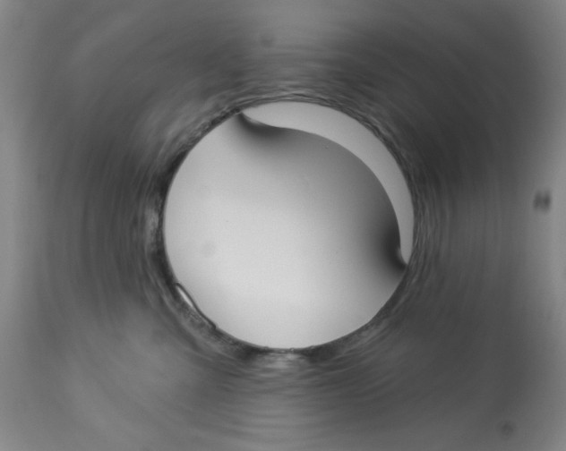 X0000112820427200909181630