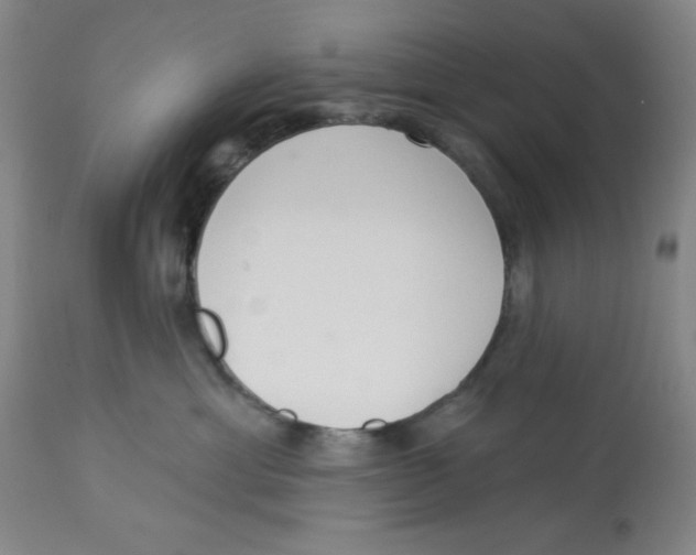 X0000112820429200909181630