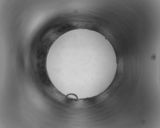 X0000112820430200909181630