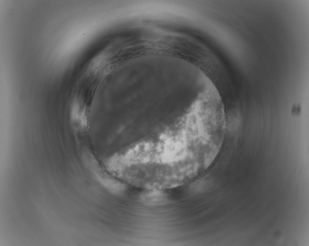 X0000112820431200909181630