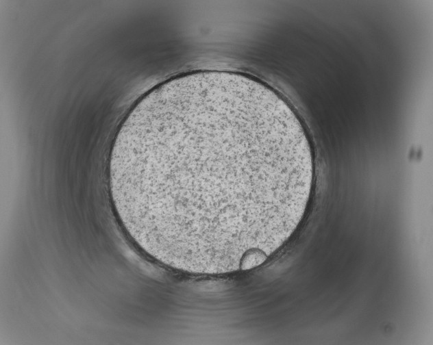 X0000112820433200909181629