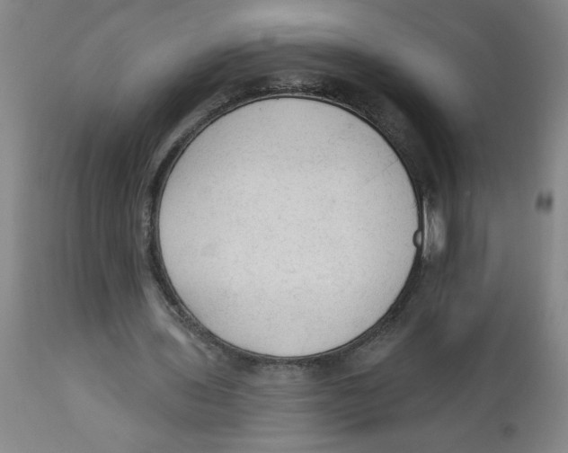 X0000112820435200909181629