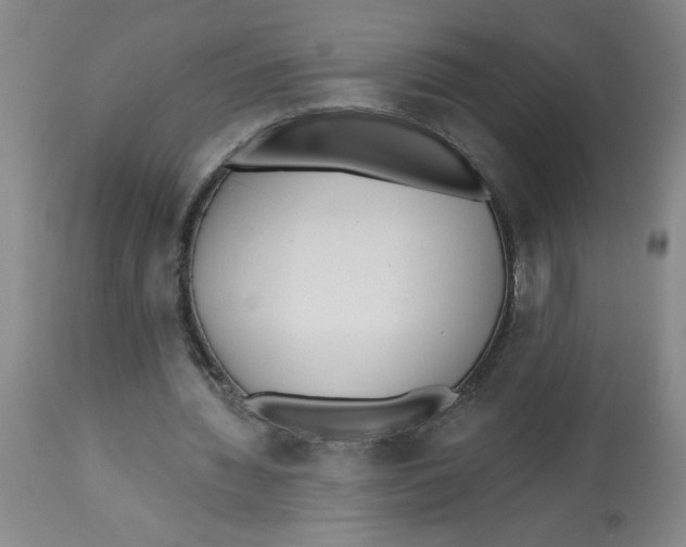 X0000112820436200909181629