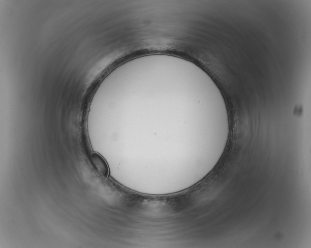 X0000112820440200909181629