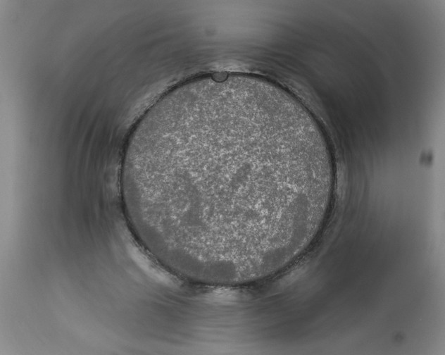 X0000112820441200909181629