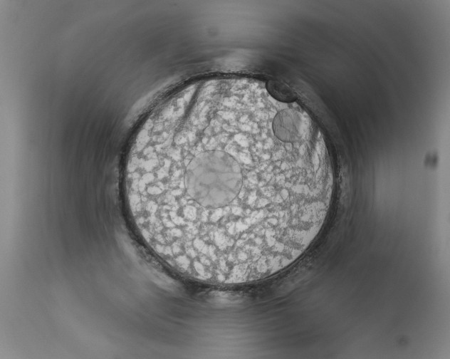 X0000112820442200909181629