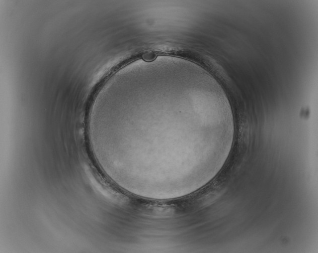 X0000112820443200909181629