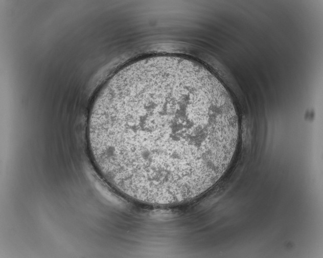 X0000112820445200909181629