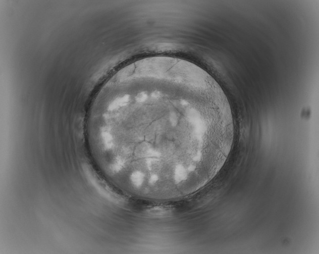 X0000112820447200909181629