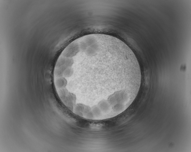 X0000112820450200909181629