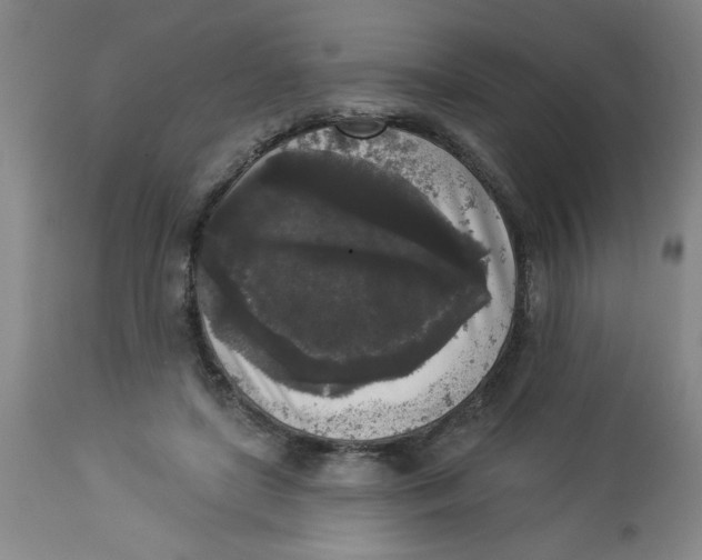 X0000112820451200909181629