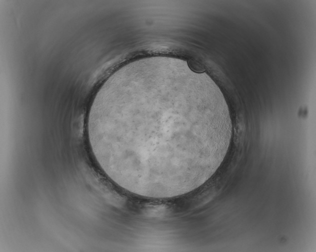 X0000112820454200909181629