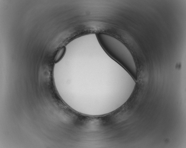 X0000112820456200909181629