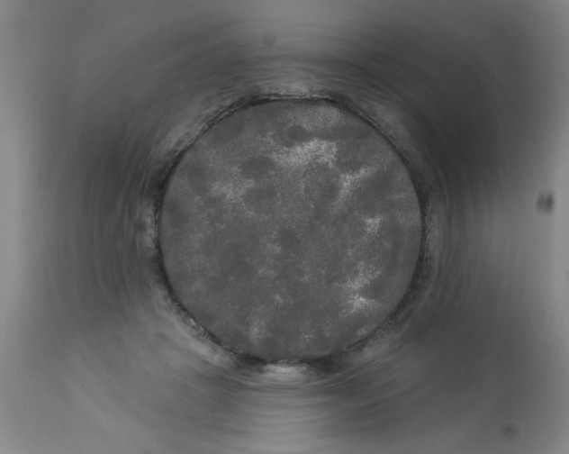 X0000112820457200909181629