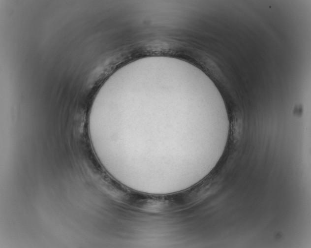 X0000112820458200909181629