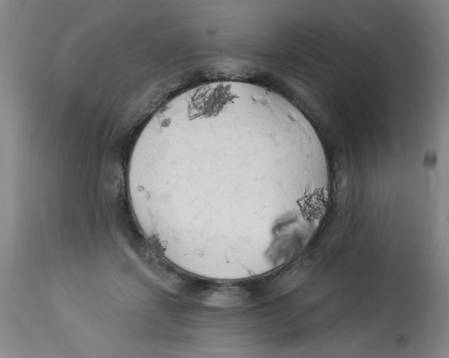 X0000112820459200909181629