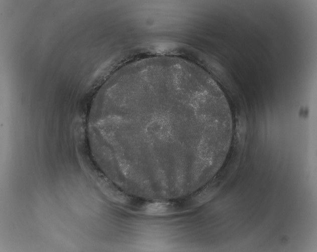 X0000112820461200909181629