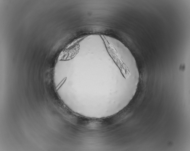 X0000112820462200909181629