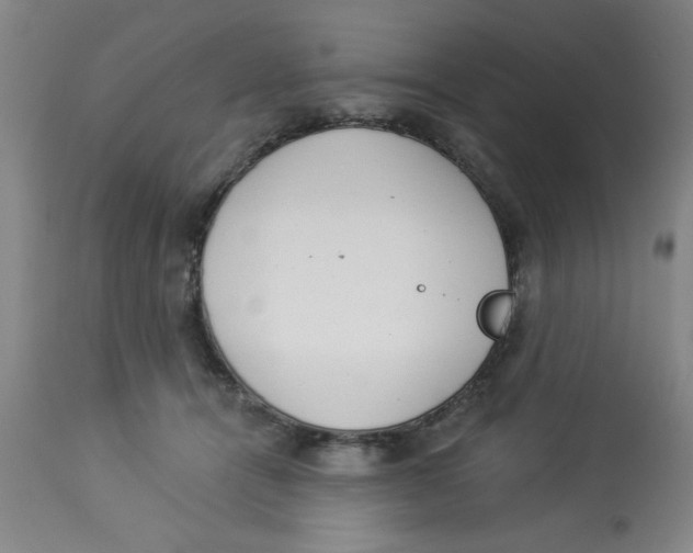 X0000112820464200909181629