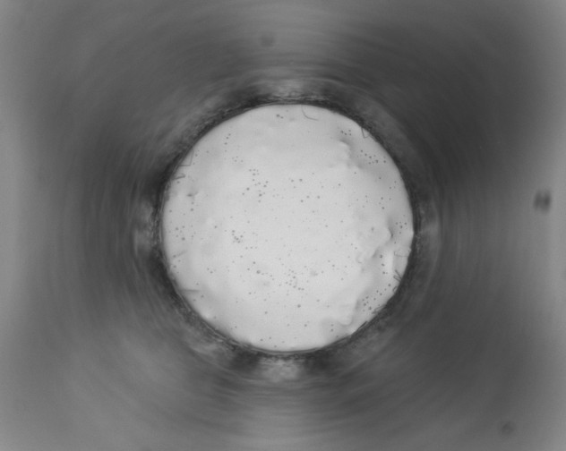 X0000112820469200909181629