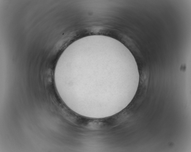 X0000112820470200909181629