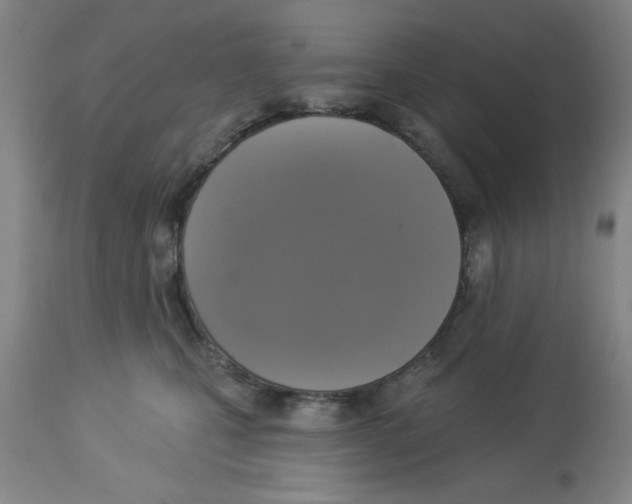 X0000112820471200909181629