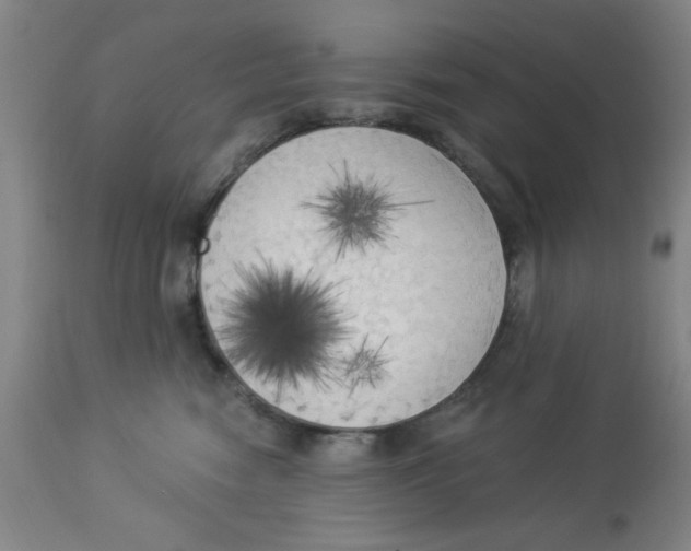 X0000112820474200909181629