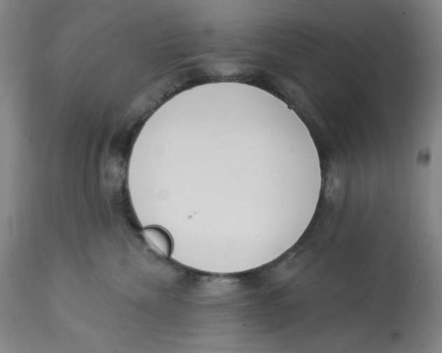 X0000112820476200909181630