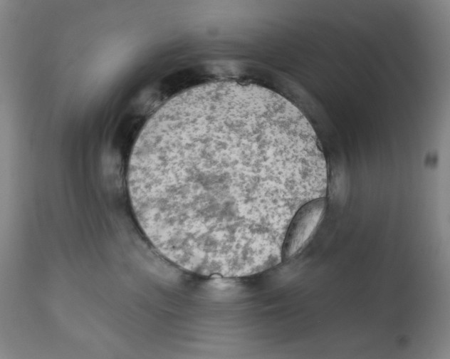 X0000112820477200909181630